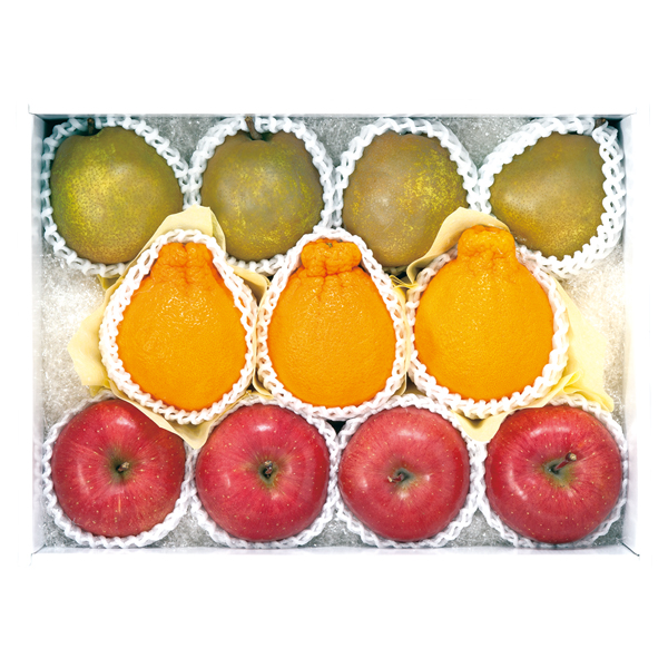 ct[c  tXEfR|ETӂly͂ԁF11{`z